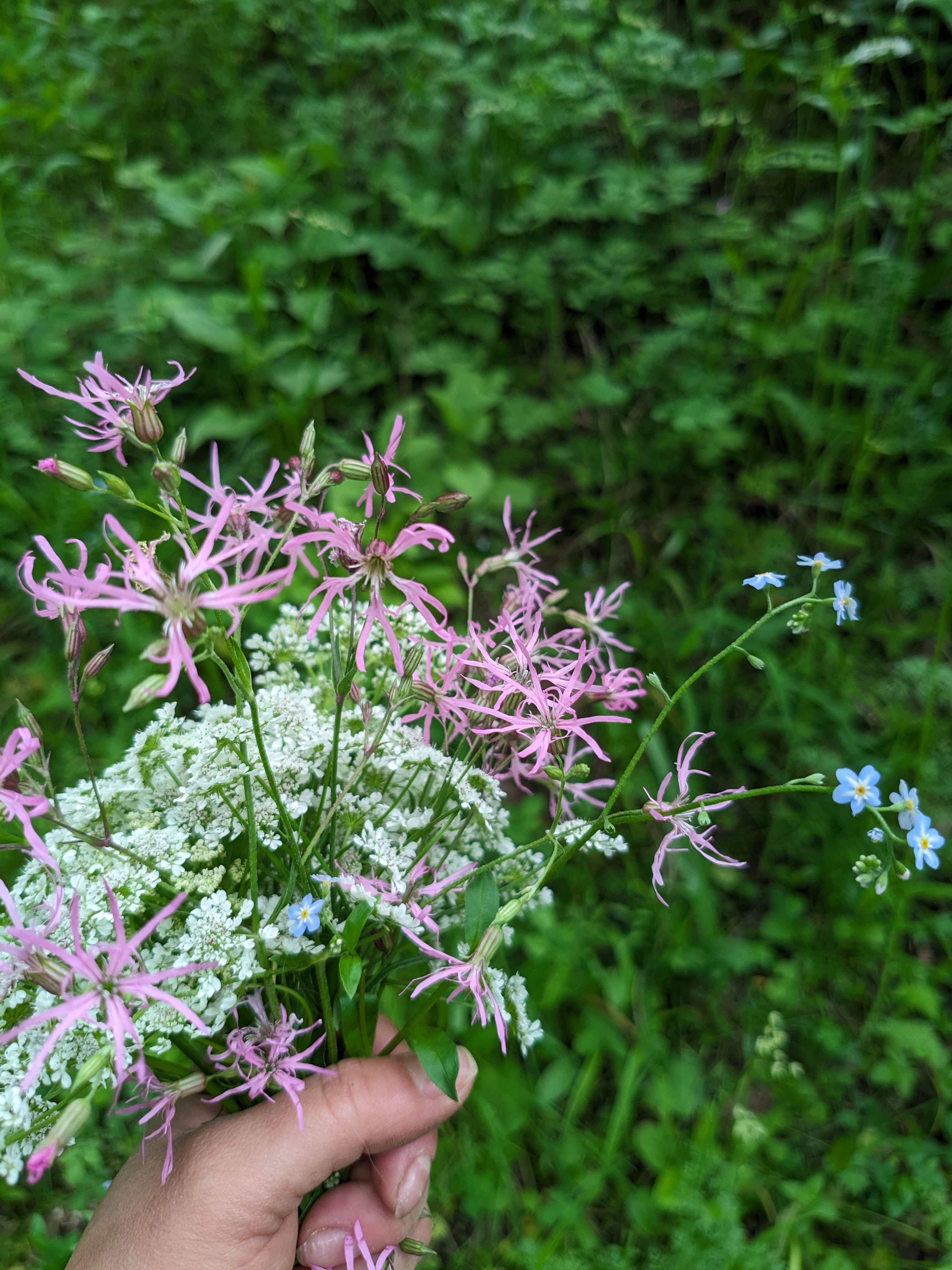 A descriptive alt text for the image